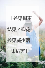 芒果树不结果？抑花控果减少落果危害